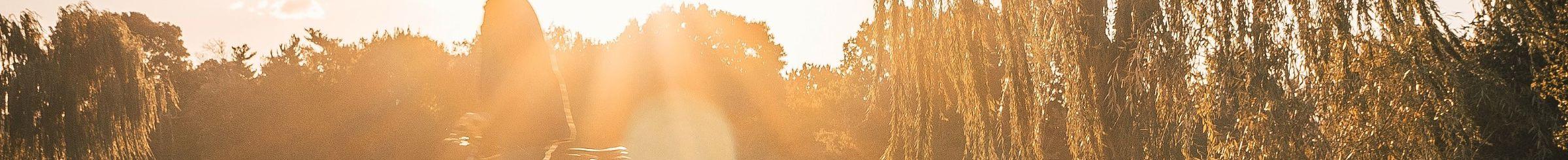 Man riding his bike among trees and gras